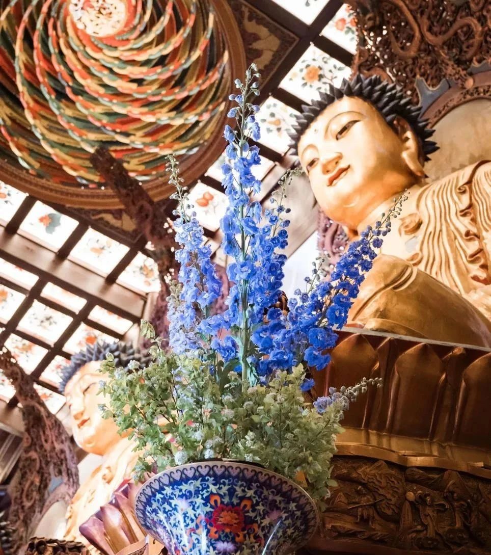 ӡ�ⷨʦ����������������Ψ����һ��ΪȻҲ