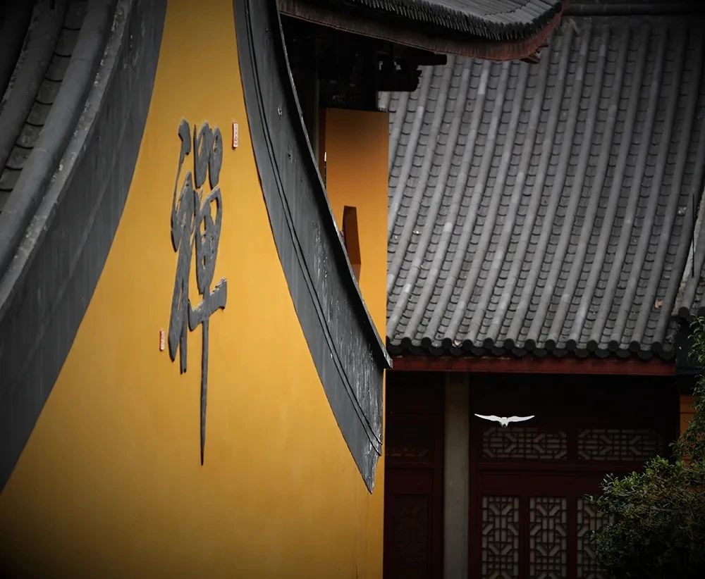 �������֣�������զ���кͽ����ģ�