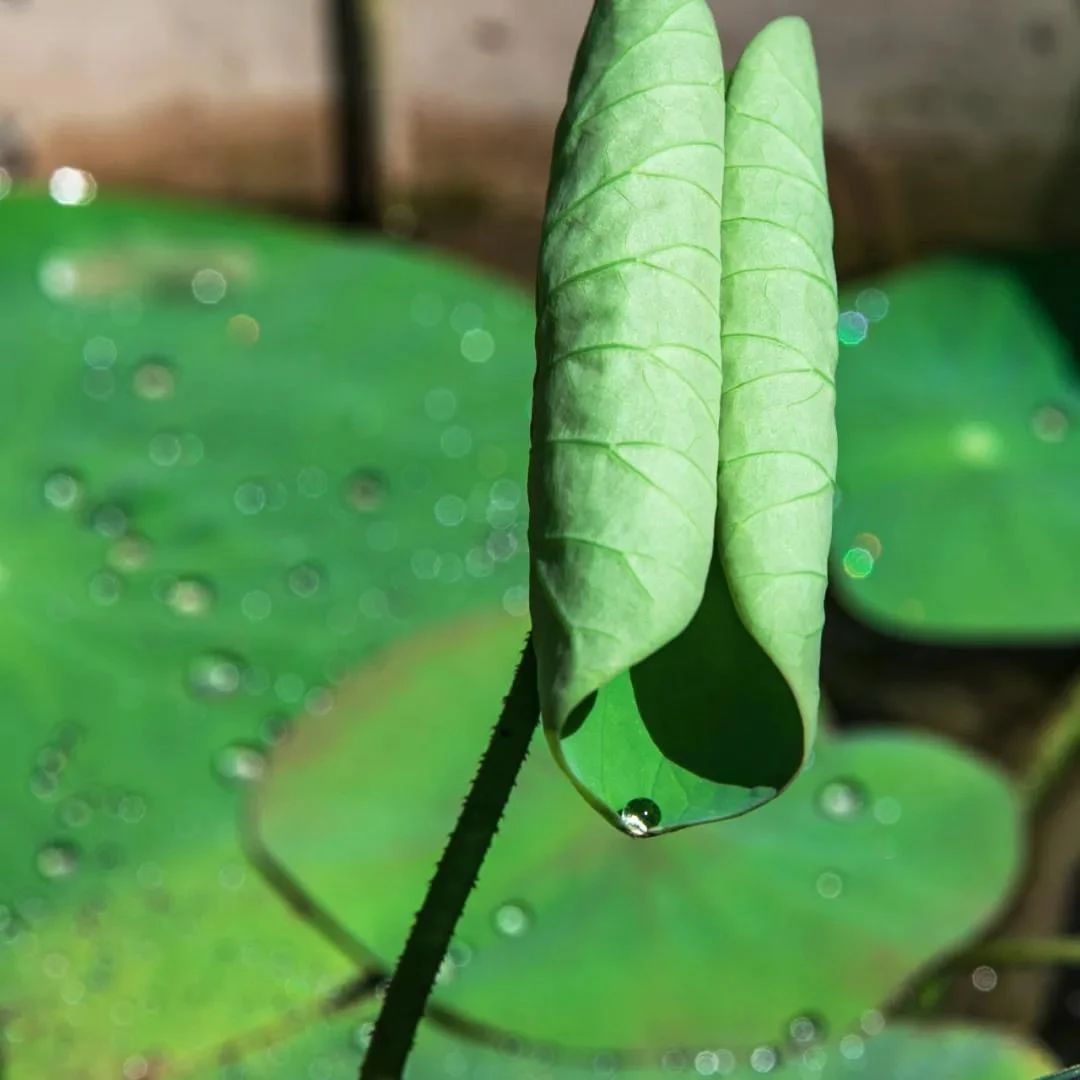 ����������������Ļ���ÿһ������