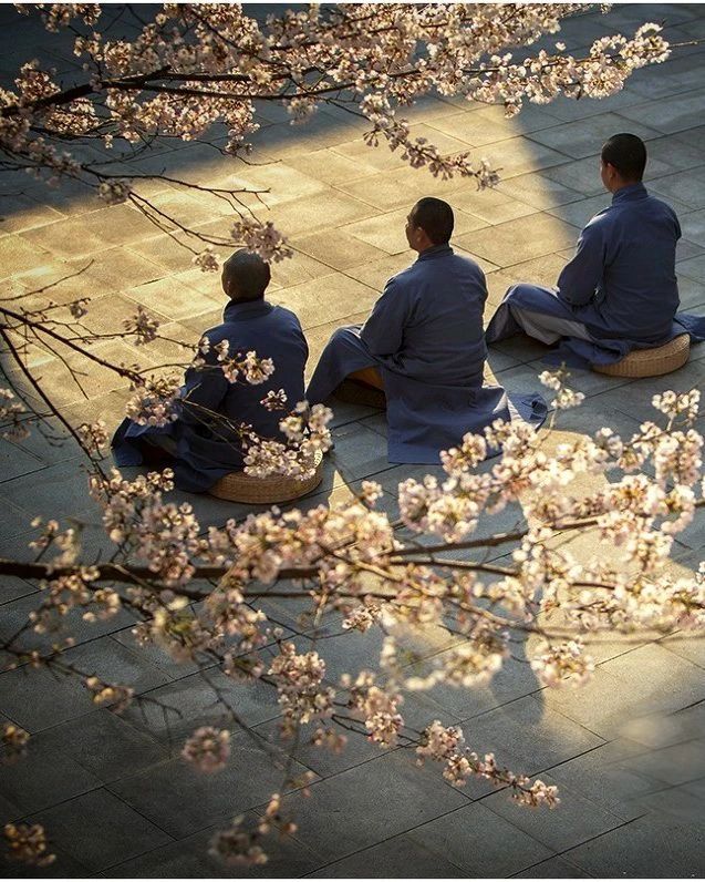 �벻Ҫ��������磡