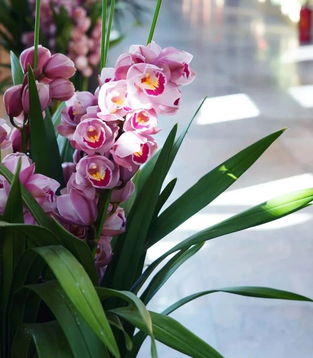 ѧѧ��̵ļ�ͥ�ۣ����˺�����ͥ����