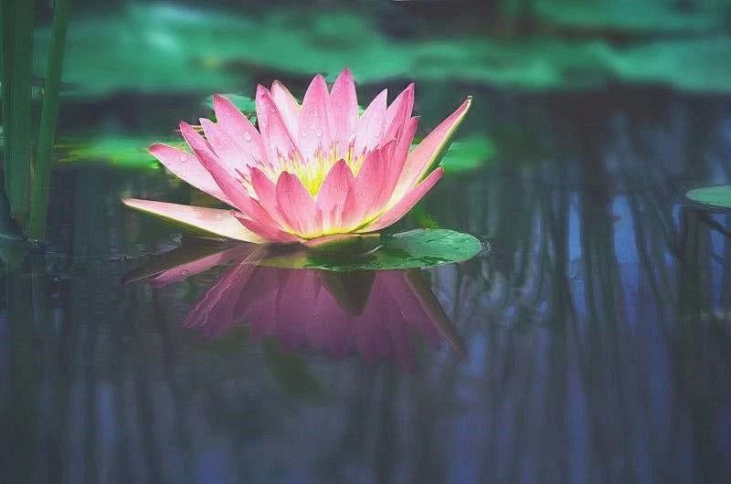 ���������������