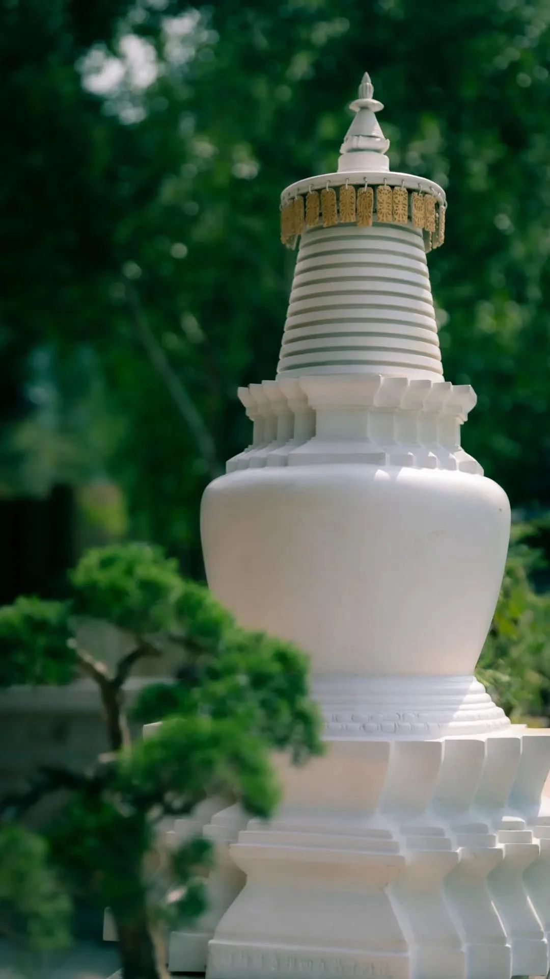 远离妄想执着,便是无上菩提 远离妄想执着,便是无上菩提