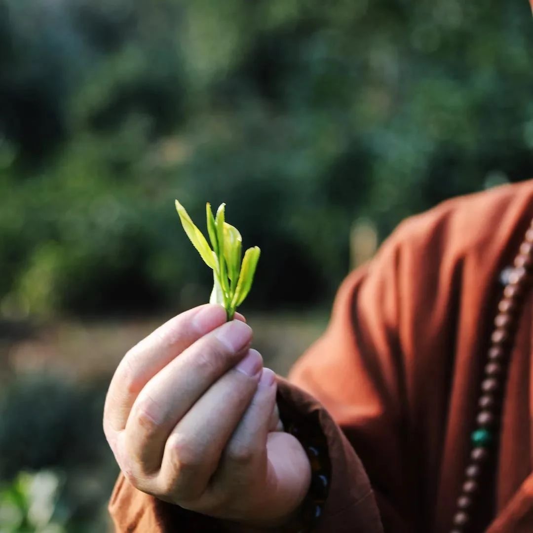 如何转化烦恼?正在烦恼的你需要看看 如何转化烦恼?正在烦恼的你需要看看