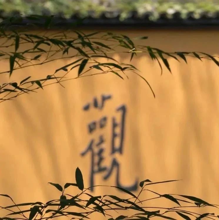 如何转化烦恼?正在烦恼的你需要看看 如何转化烦恼?正在烦恼的你需要看看