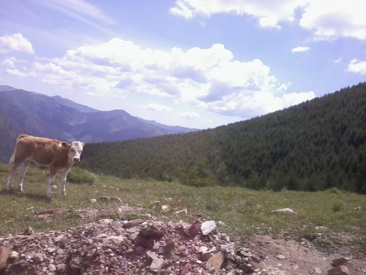 ��ȥ����̨ɽ�����û�У�һ��Ҫȥһ��~