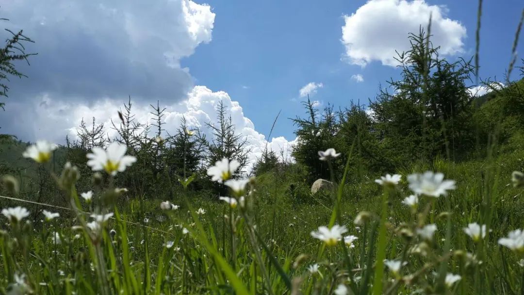 ��ȥ����̨ɽ�����û�У�һ��Ҫȥһ��~