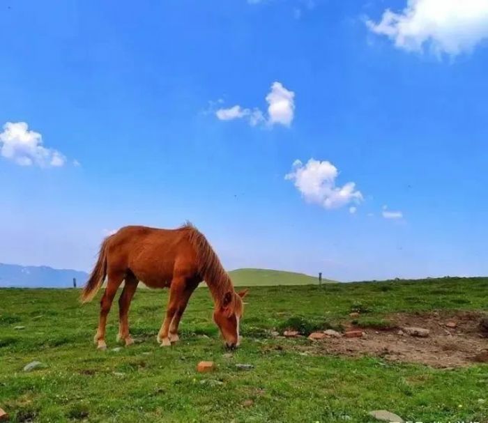 ��ȥ����̨ɽ�����û�У�һ��Ҫȥһ��~