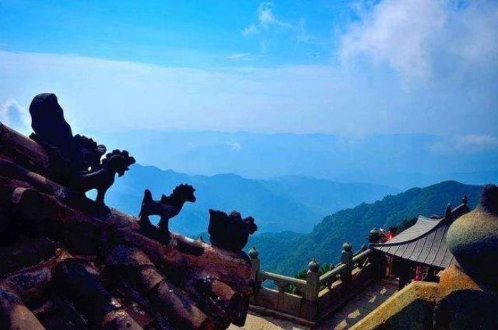 ���������������ľ�������