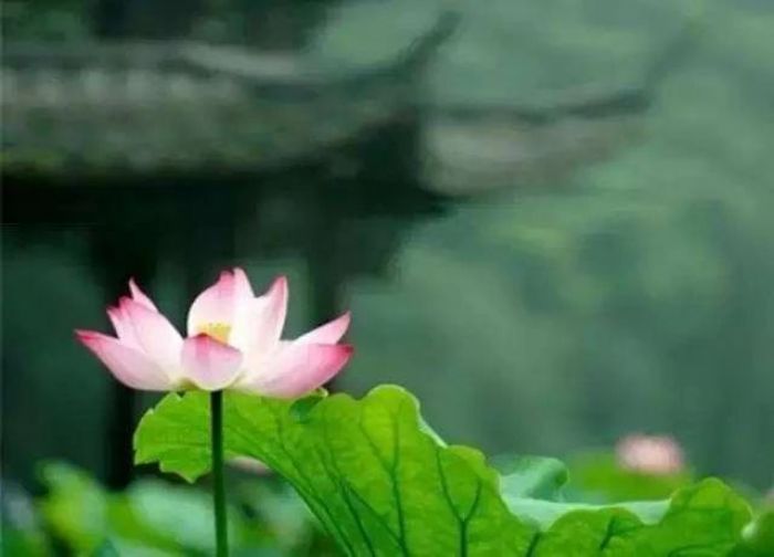 妄想是心里的影子 妄想是心里的影子