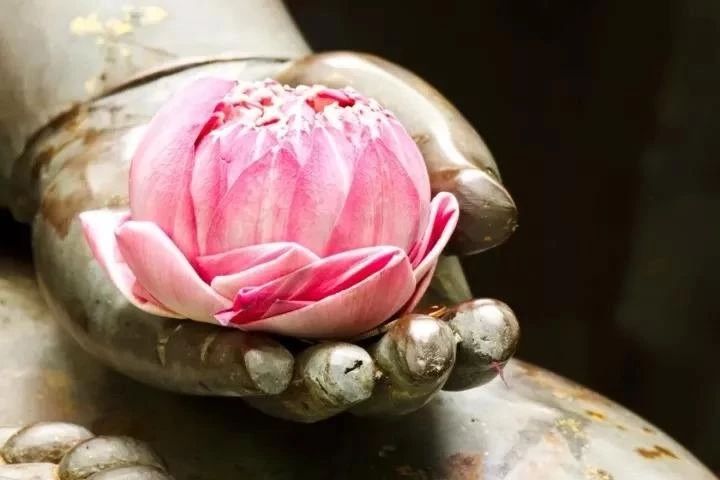 ѧ����Ϊ��ʲô��