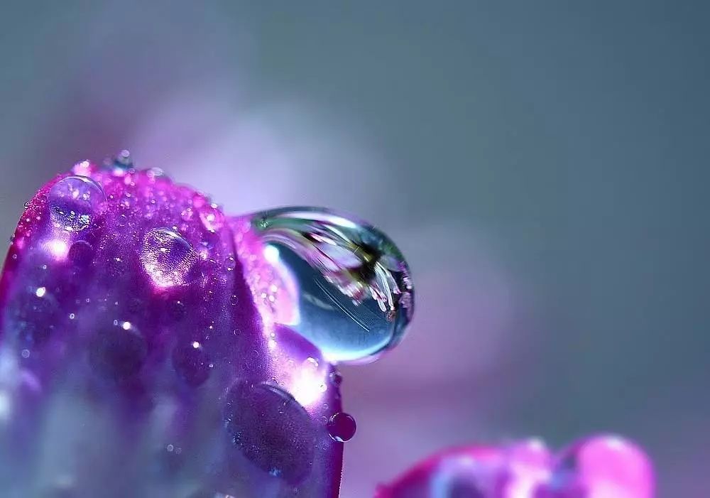 һ�ж��ڱ仯��û��һ���ǲ����