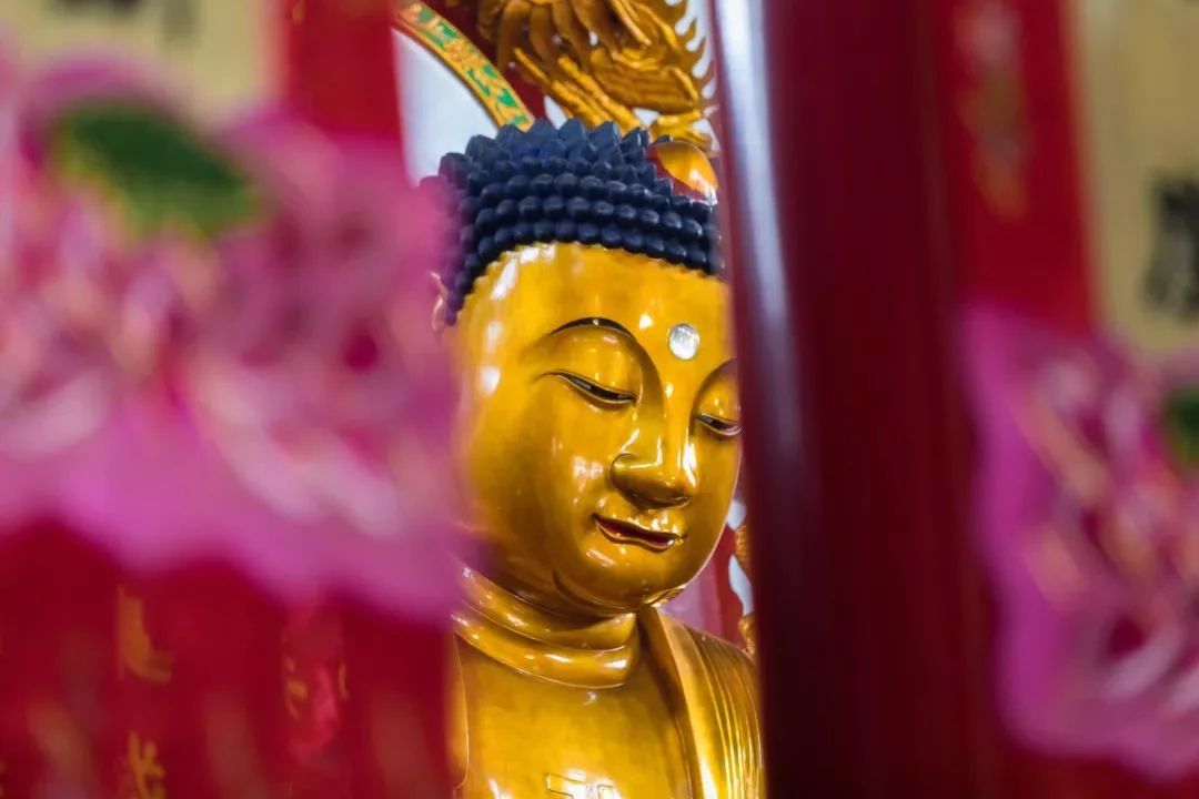 ѧ���ʴ�ʮ��ѧ����Ϊ��ʲô��