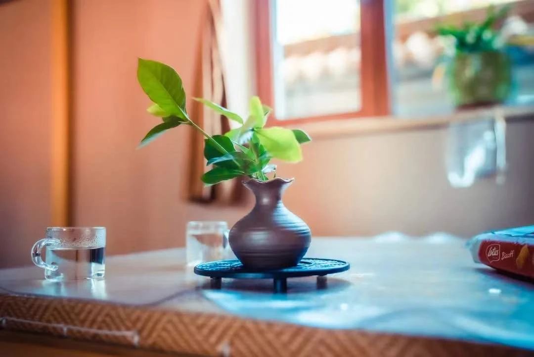 ѧ���ʴ�ʮ��ѧ����Ϊ��ʲô��