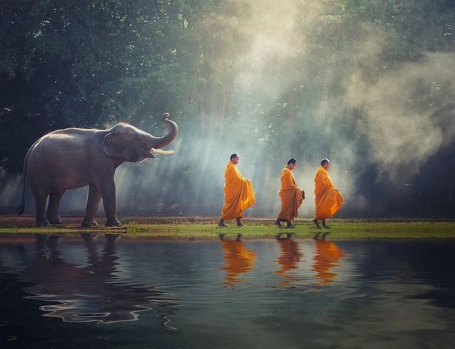 �������·�ϵ�������;�����ɲ�֪��