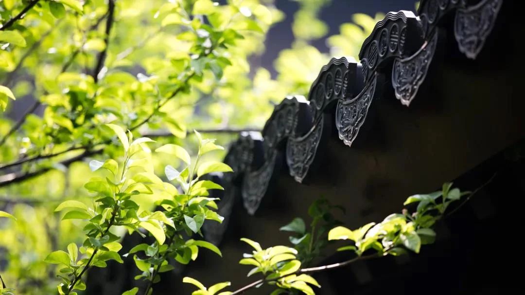 ����������������Ļ���ÿһ������