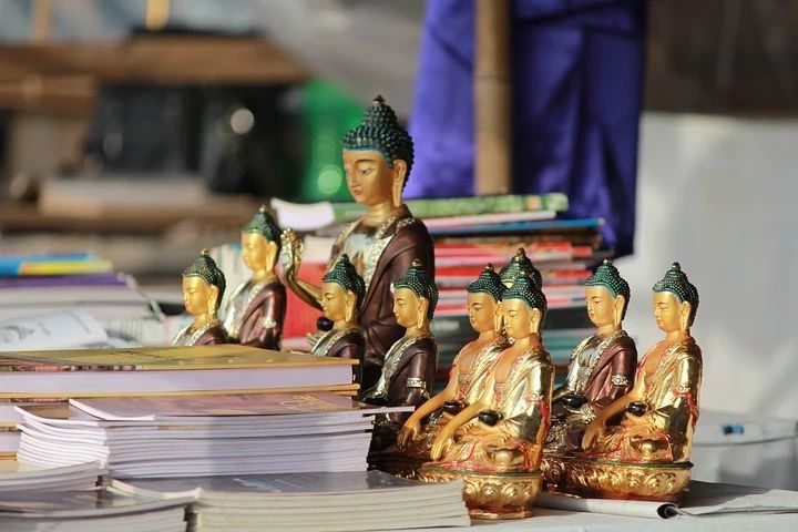 ѧ���ǽ����Լ��������Լ����������ġ���������