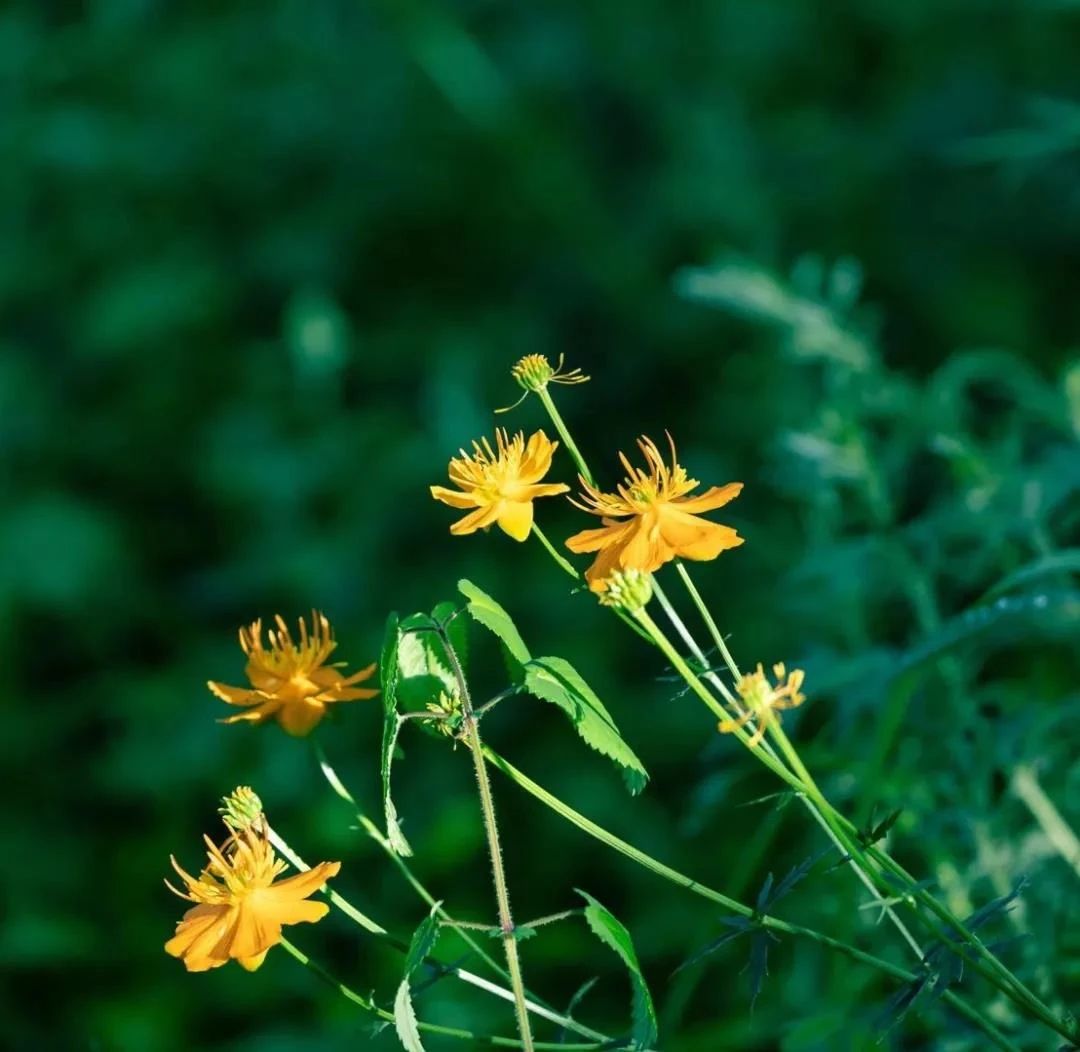 ѧ�������������������߱�����Ҫ��