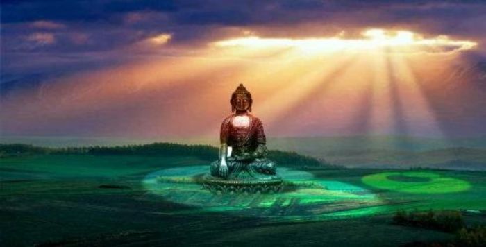 ��˳���л��������澳����ҵ