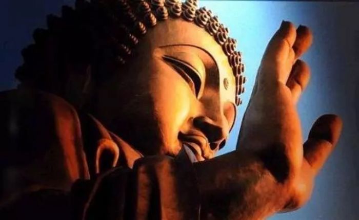 悟了么? 悟了么?