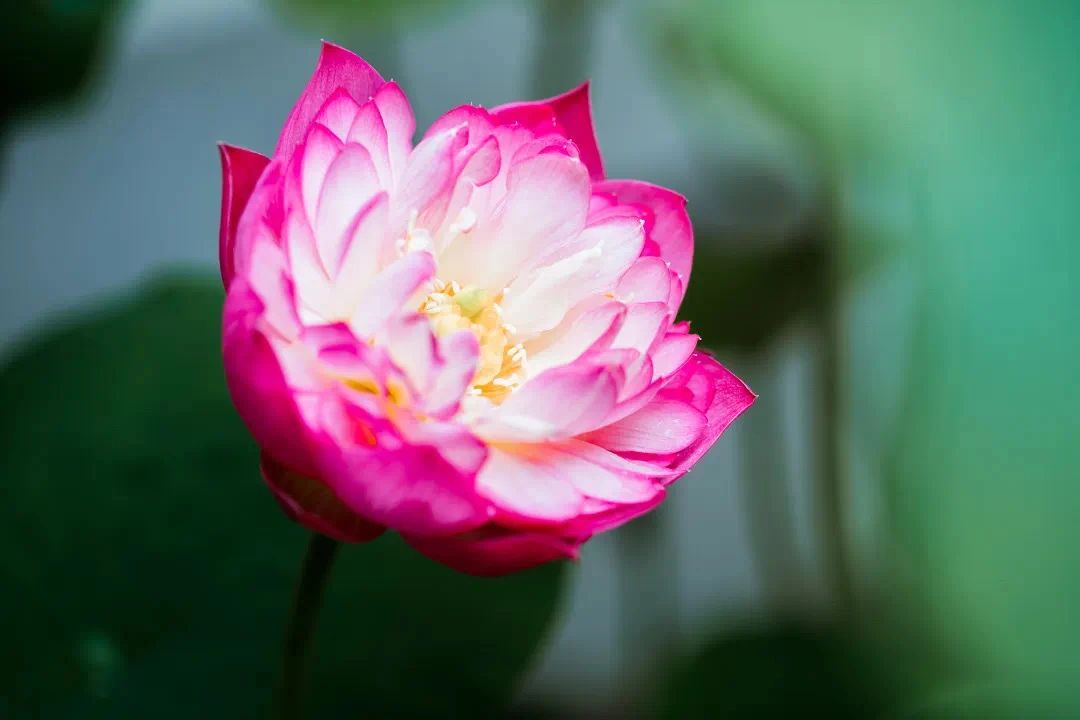 ������Ե�����ˣ���������ϰ������