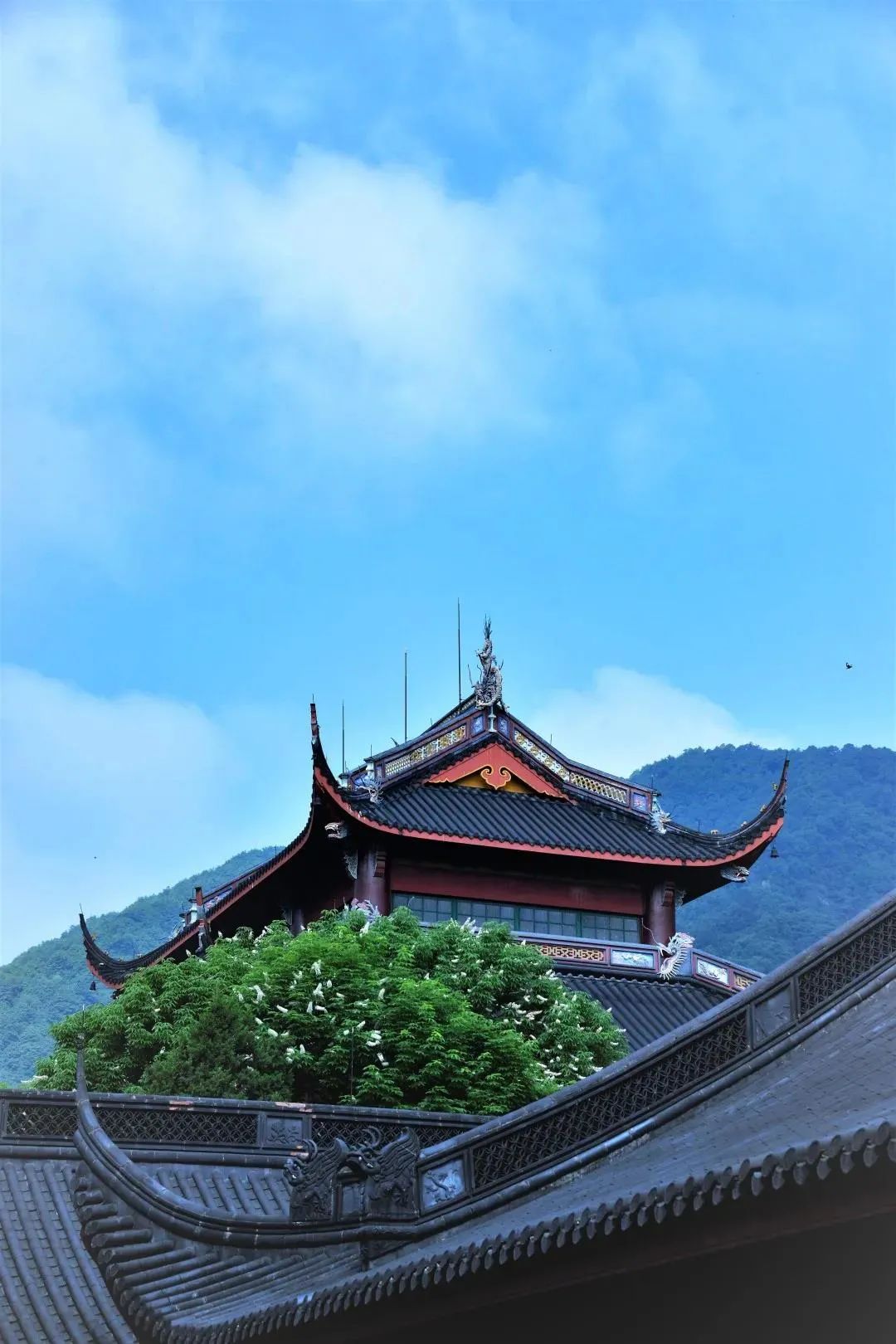 ���ǵ�������������֮��