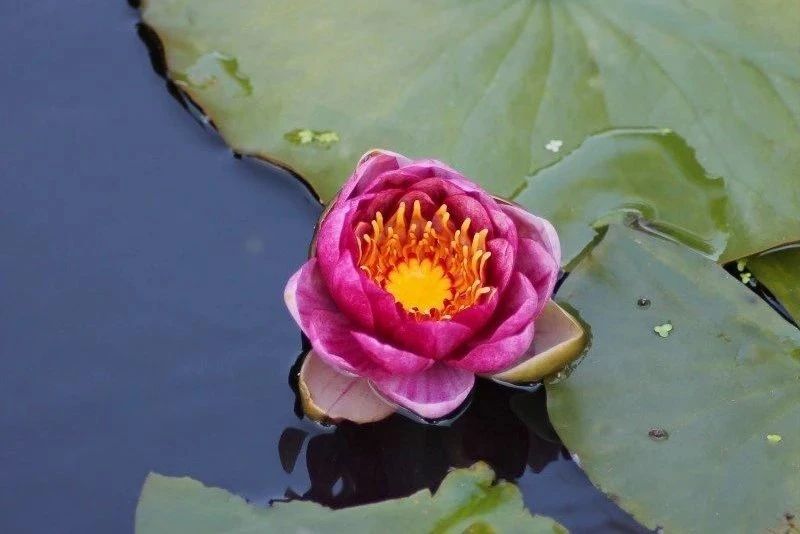 ѧ����ˣ�����Ҫ���Ǽ�Ԧ�Լ�����