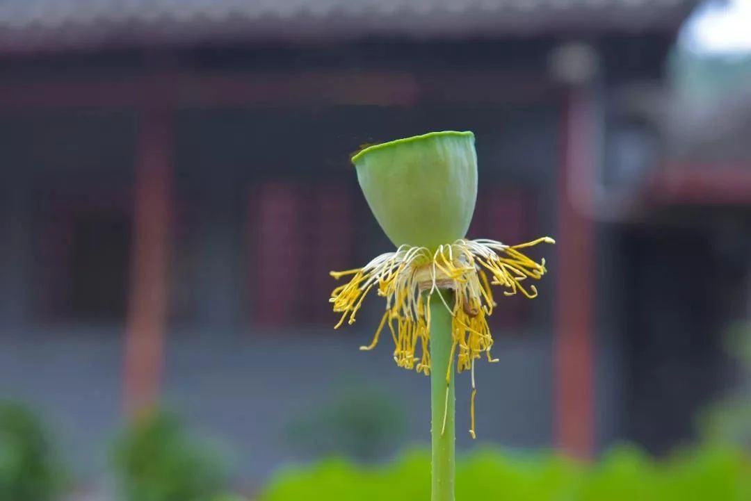 ����Ϊʲô�Ầ��������