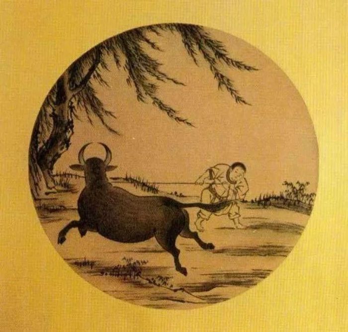 �����Ǿ��磬���Ƿ���