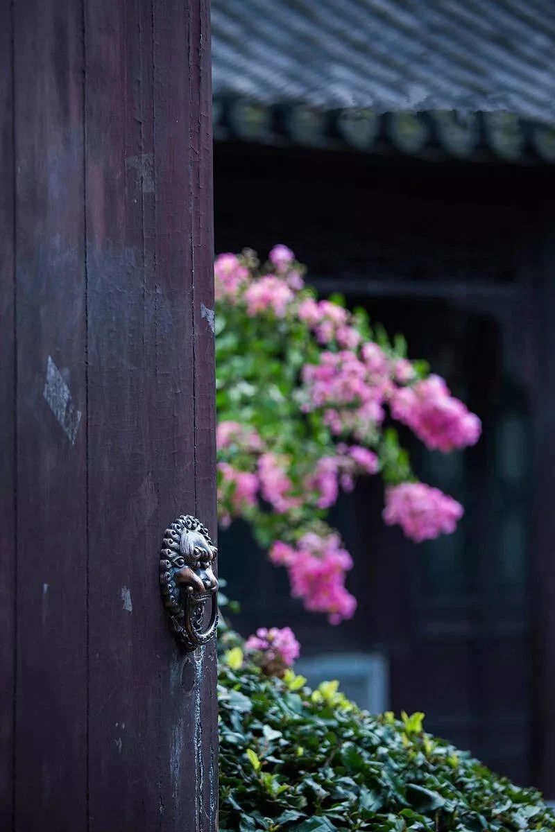 ӡ�ⷨʦ�����������ƶ������������