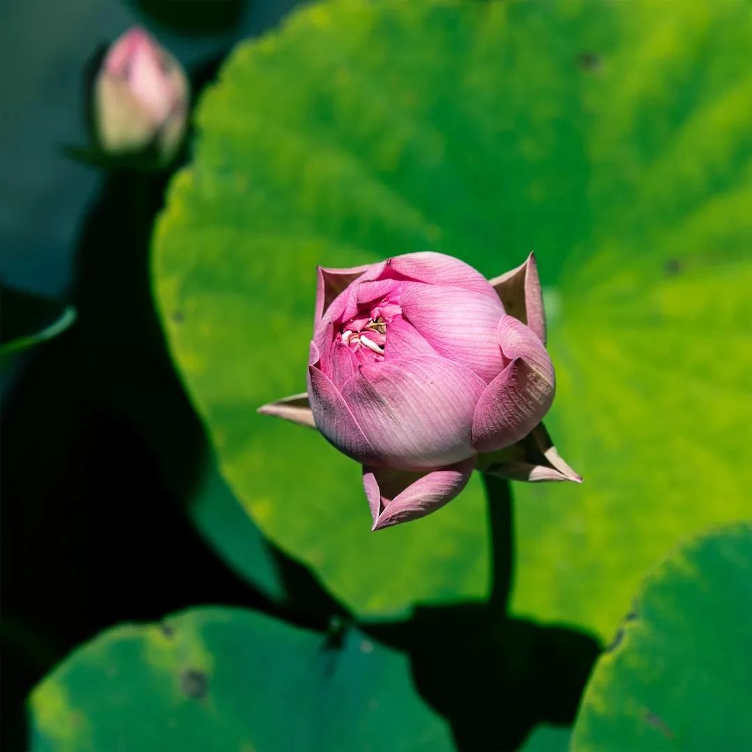 ����û�о��Ե����������ľ����ͺ�