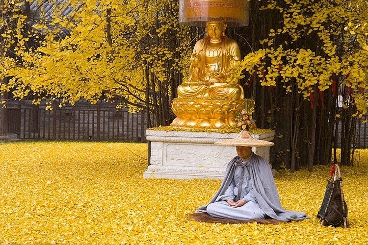 ��һ������ѧ����ˣ���Ҫ����Щ����ȥŬ���أ�