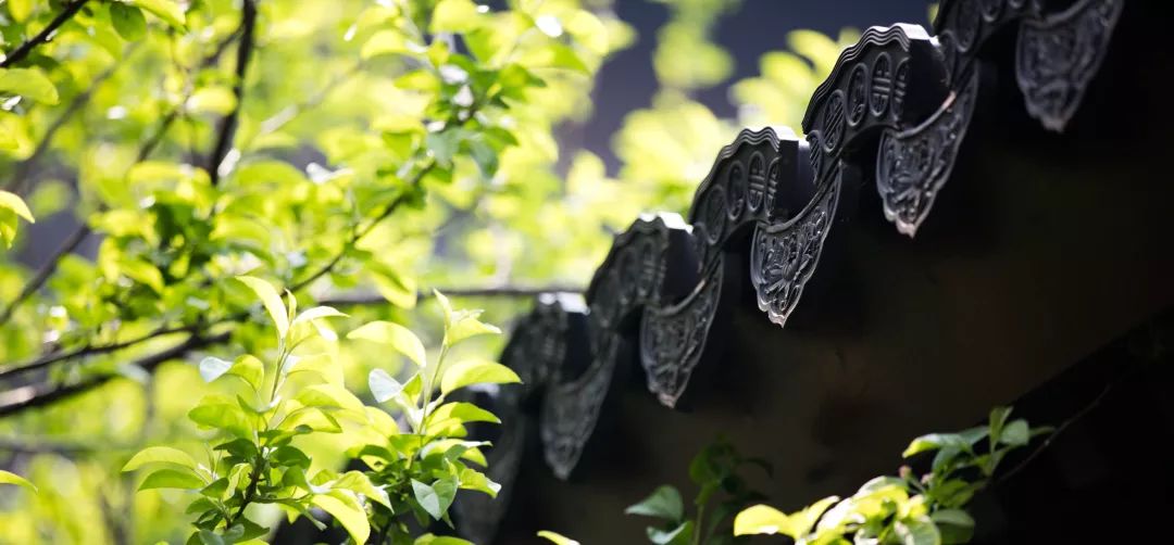 �������Щ������¼����һ�����ܴ��㣿