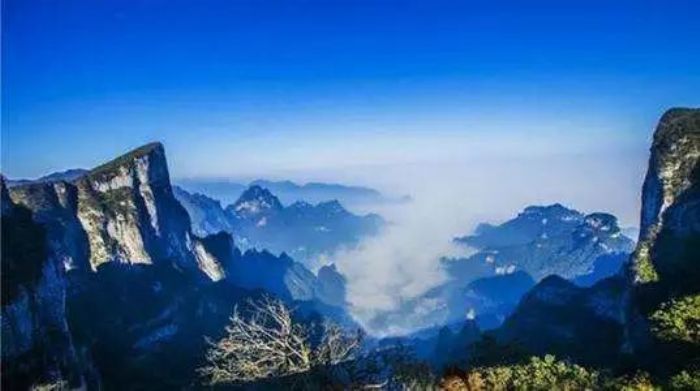 �쳾����������Ŀ�������