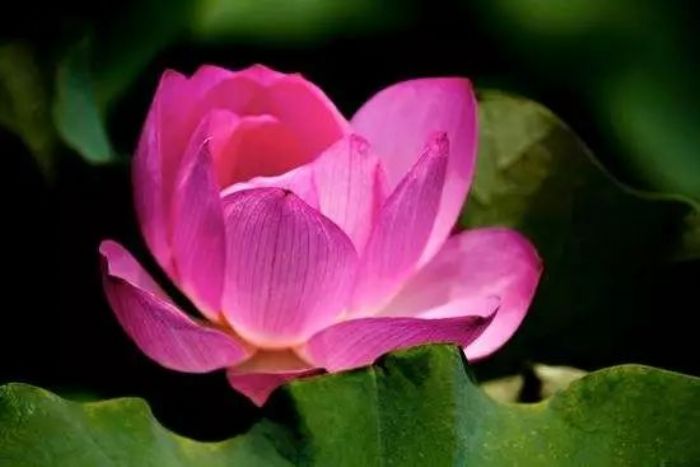 �쳾����������Ŀ�������