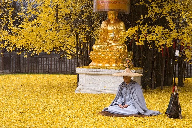 ����ʱ����ҵ����һ��Ҫ�μ�9����