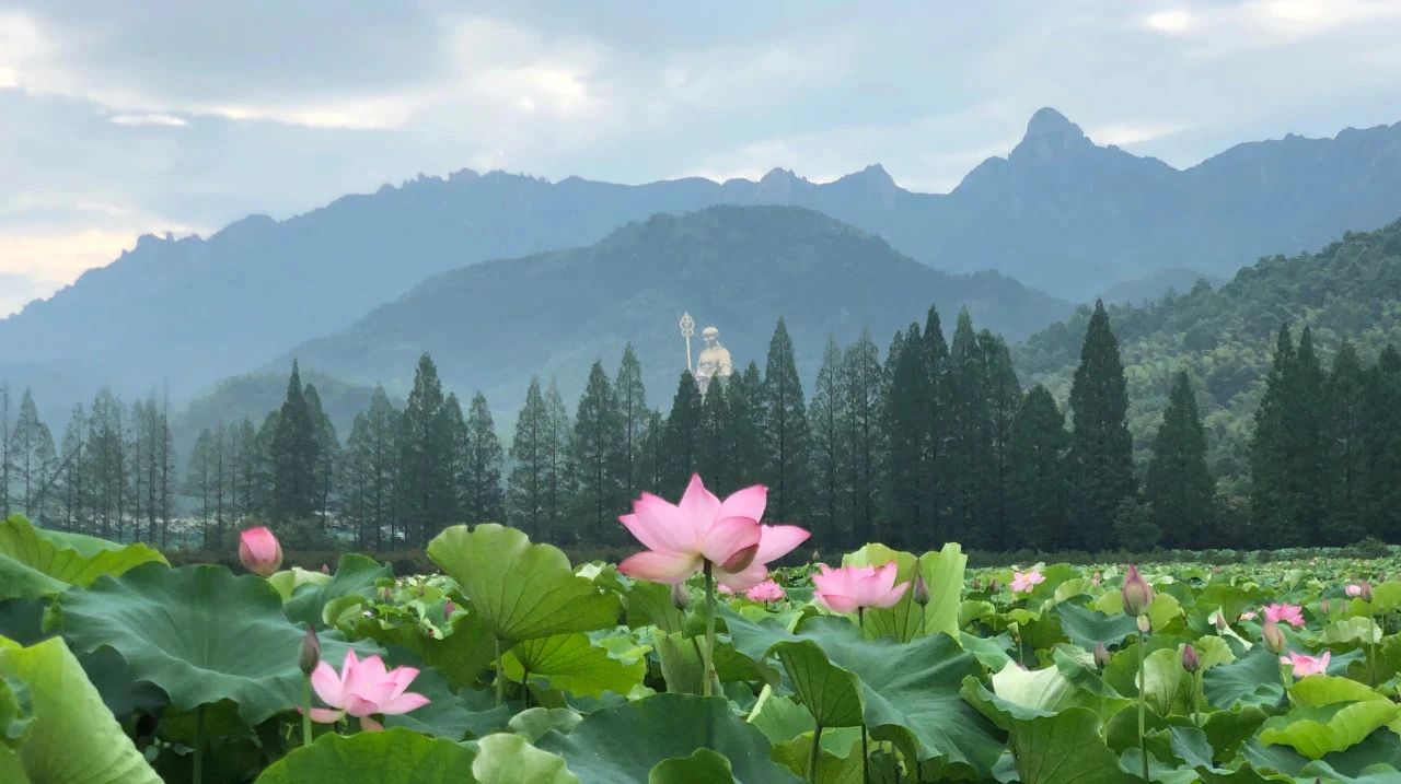 晒蜡傻和尚如何成长为一代高僧的? 晒蜡傻和尚如何成长为一代高僧的?