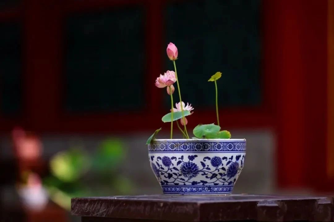 �𷨾���������һ�����粻������