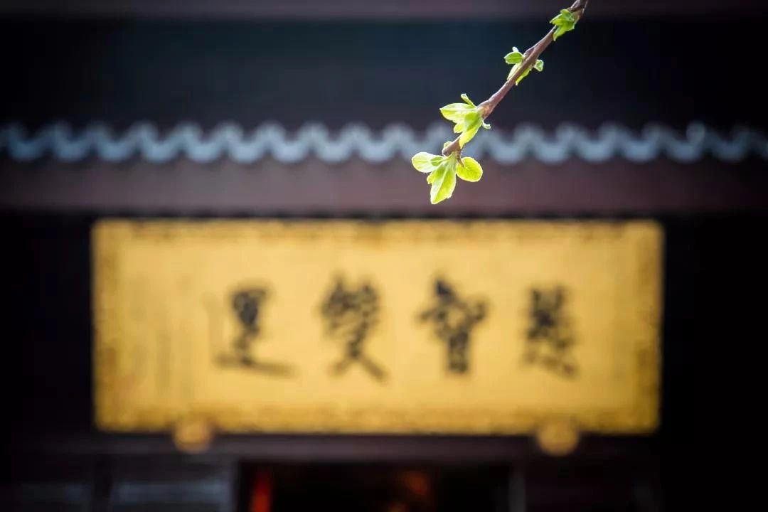 ��Ϊ���������������ܱ�ҵ��������