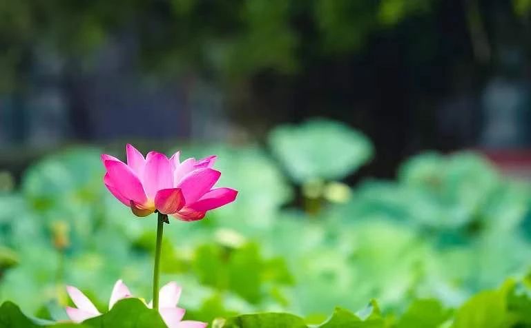 ʲô�Ƿ𷨣�ʲô�����ţ�