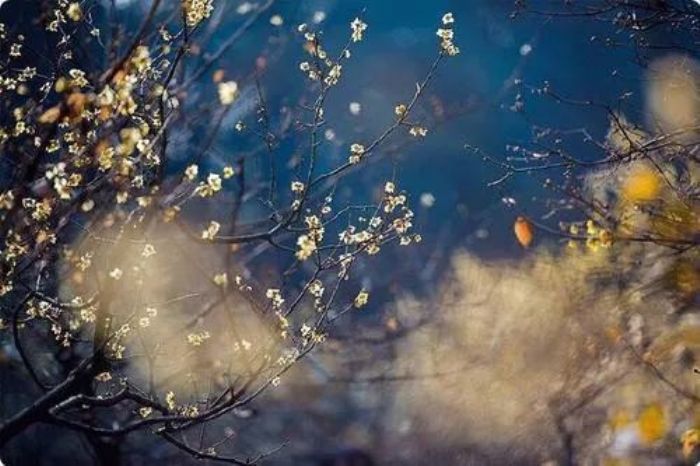 ��˵ʮ����Ե������������ת������ȥ����