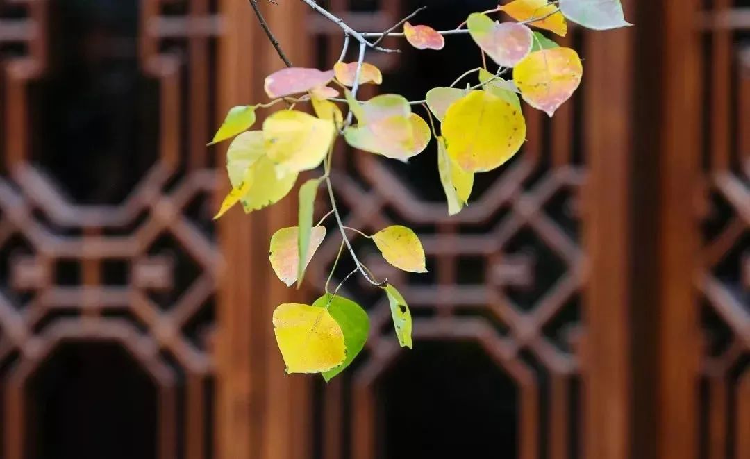 ��˵ʮ����Ե������������ת������ȥ����