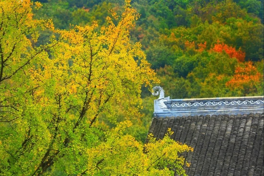 烦恼吗?此处正好修行! 烦恼吗?此处正好修行!