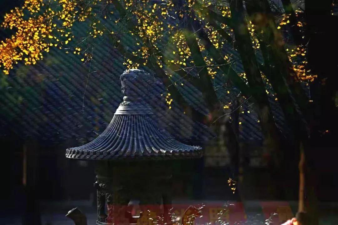 �����ķ���Զ�������������˰���