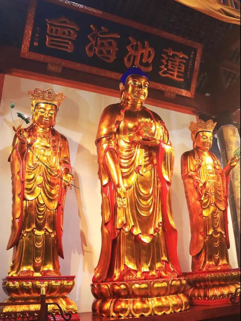 ӡ�ⷨʦ�����������֮��Ҳ