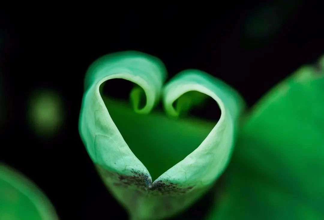 Ϊʲô����ǿ�������