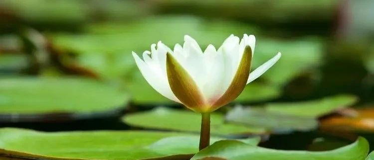 �������������Ӹ㰡�����Ӷ��û��ˡ���