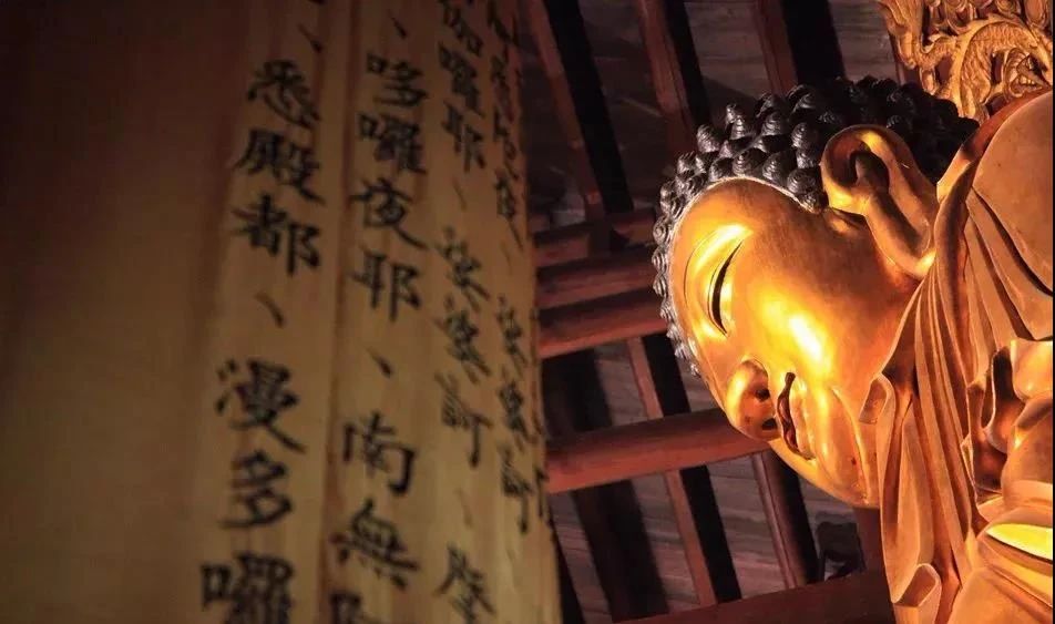 ��Ӧ��ѧ��������������������