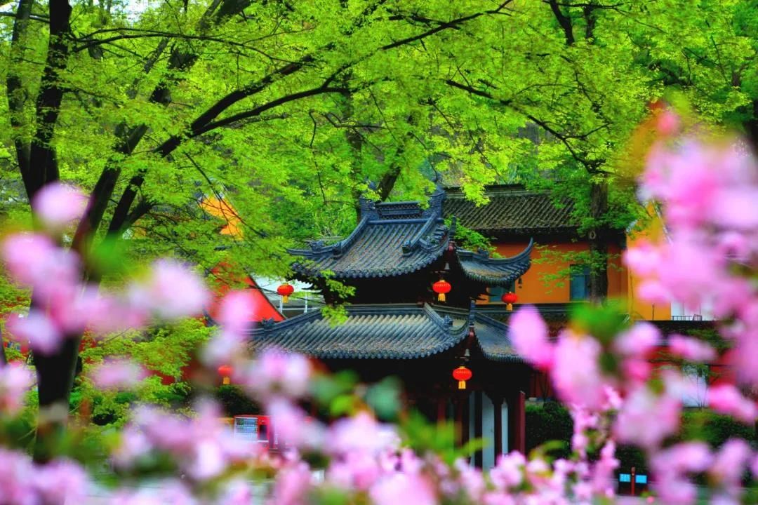 ��������֮������һ�з�Ӧ�۷����ԣ�һ��Ψ����