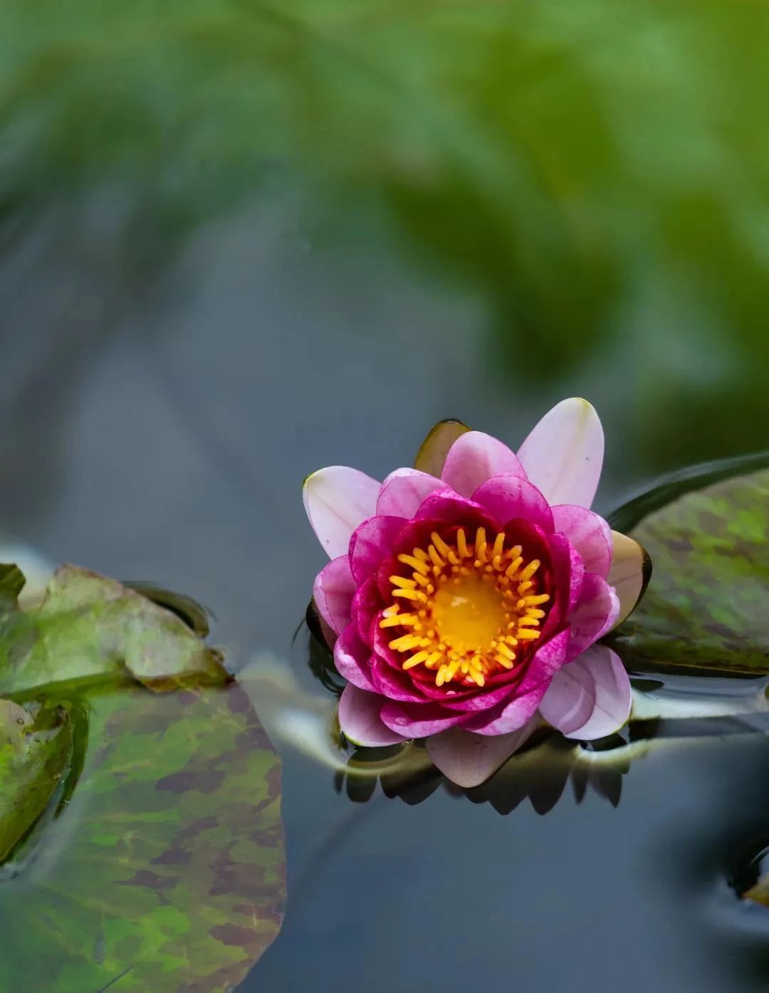 ӡ�ⷨʦ�����֮�ˣ������������Ҳξ�һ·